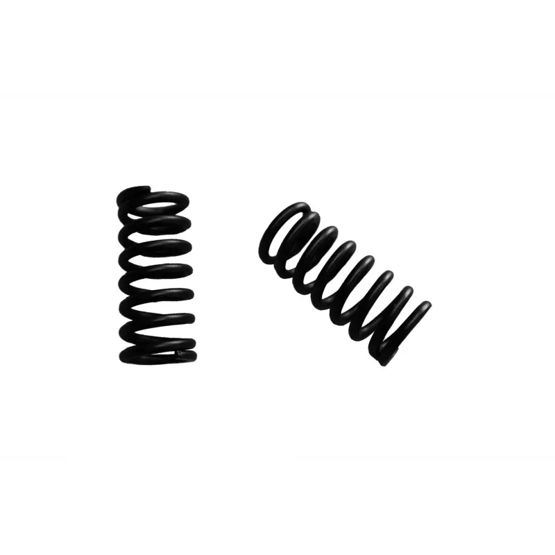 Truck Spring Renegade Evolve